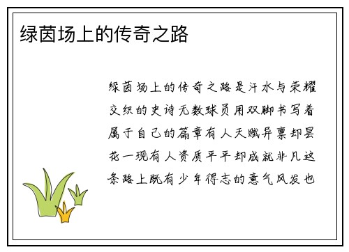 绿茵场上的传奇之路